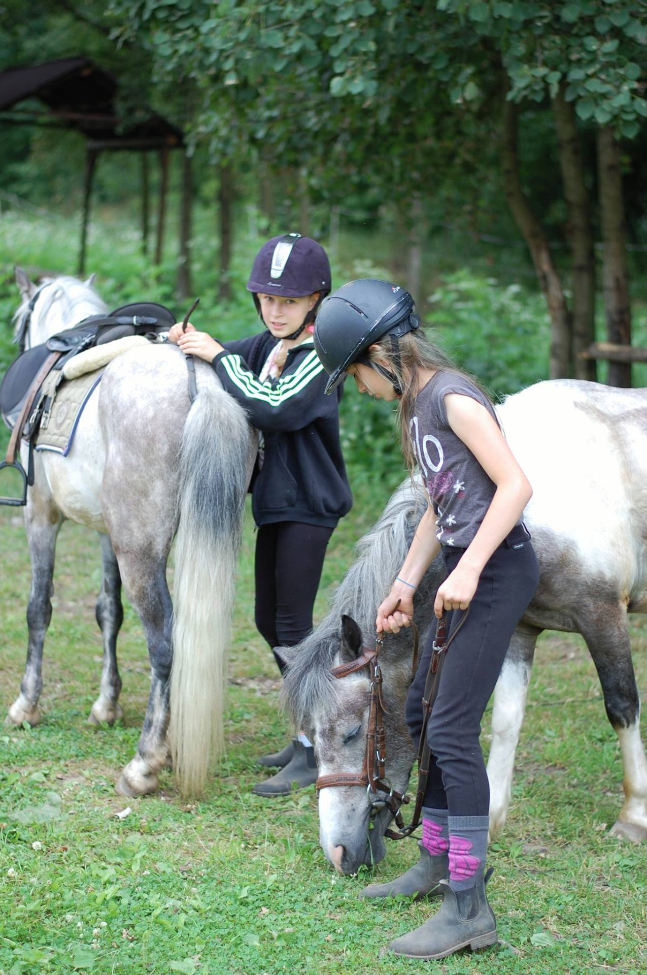 półkolonie Półkolonie Jeździeckie - White Pony w Jurcz