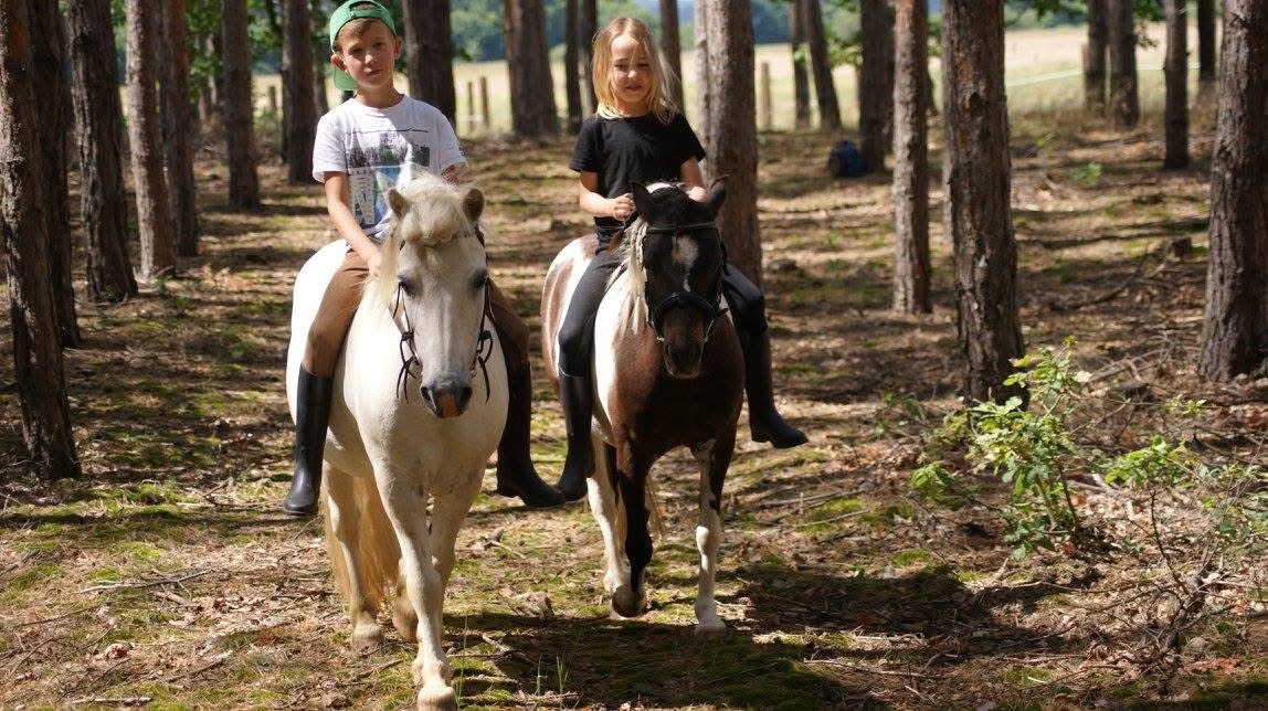 obóz Wakacje w Siodle w Gryżyce