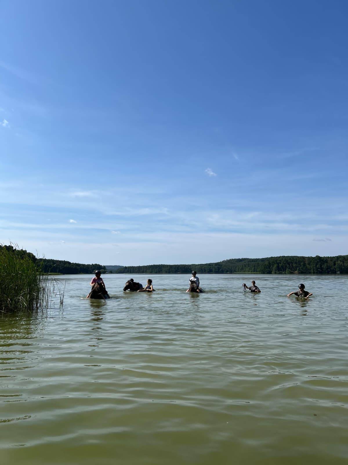 obóz Rancho Lubniewice - obóz jeździecki nad jeziorem w Lubniewice