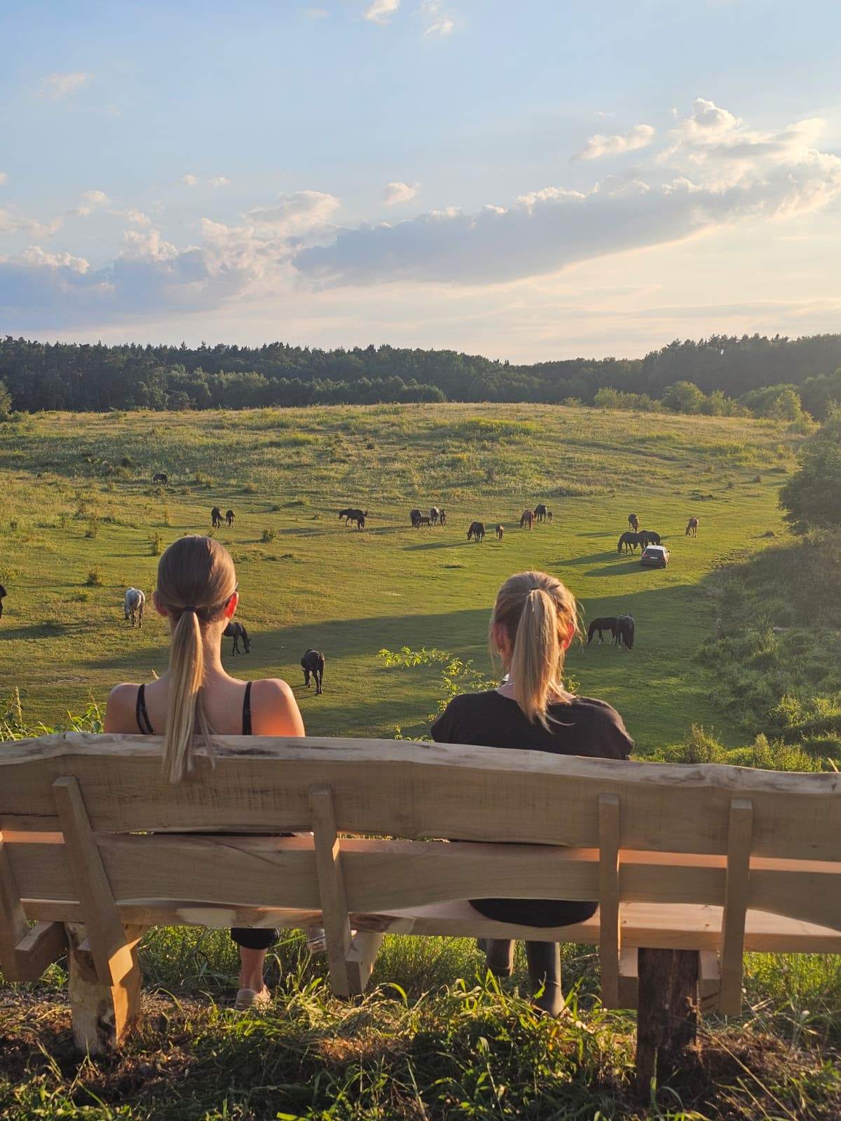 obóz Rancho Lubniewice - obóz jeździecki nad jeziorem w Lubniewice