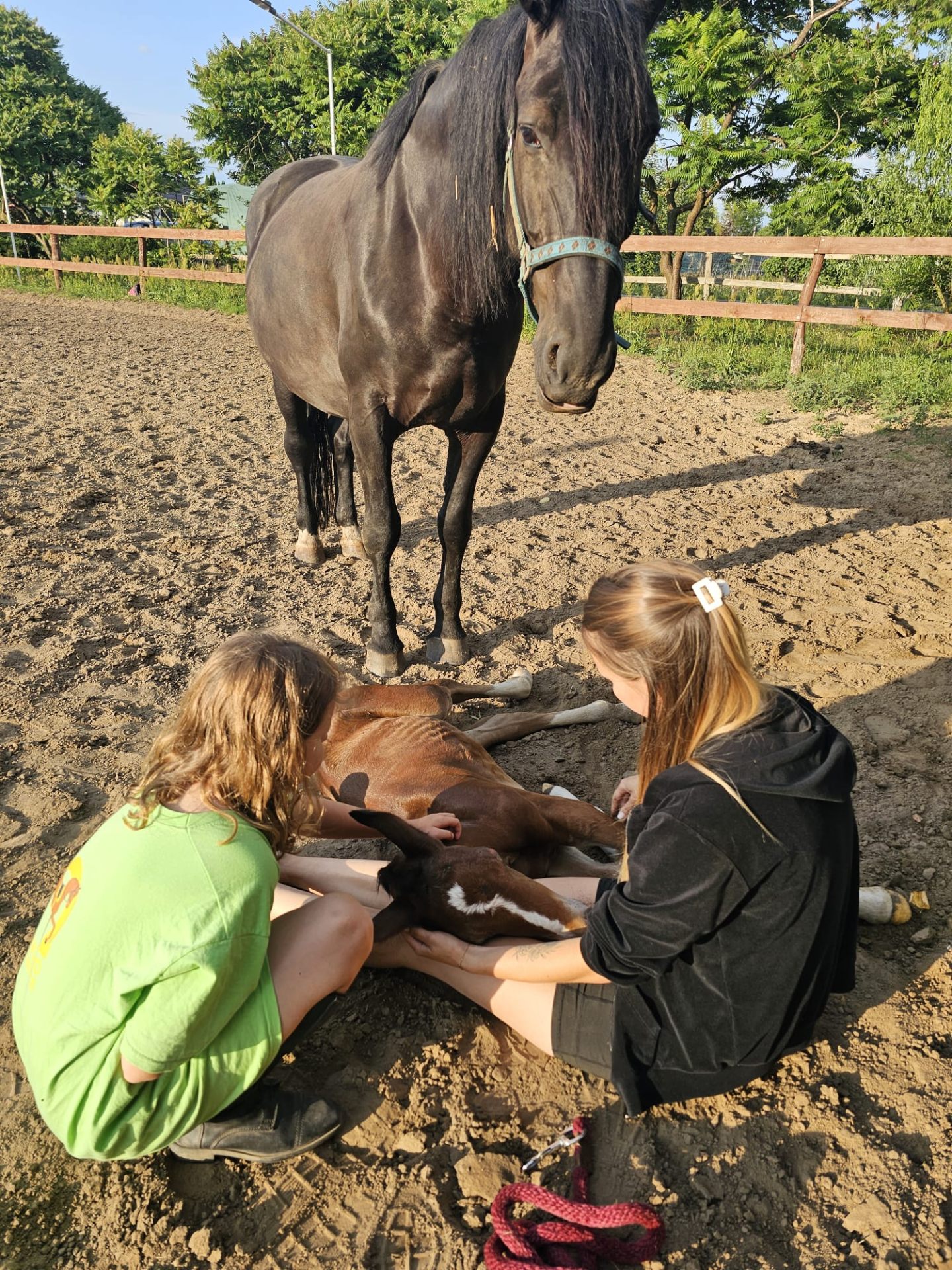 obóz Rancho Lubniewice - obóz jeździecki nad jeziorem w Lubniewice