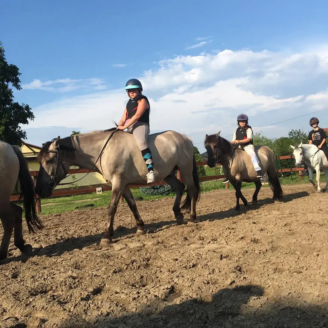 obóz Rancho Lubniewice - obóz jeździecki nad jeziorem w Lubniewice