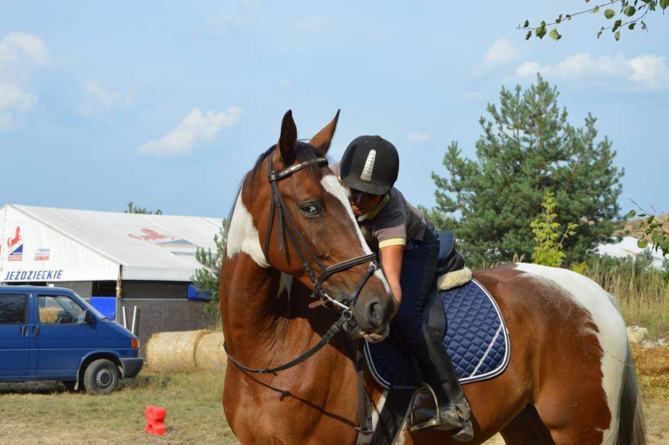 obóz Obóz konny lato 2026 w Myszków