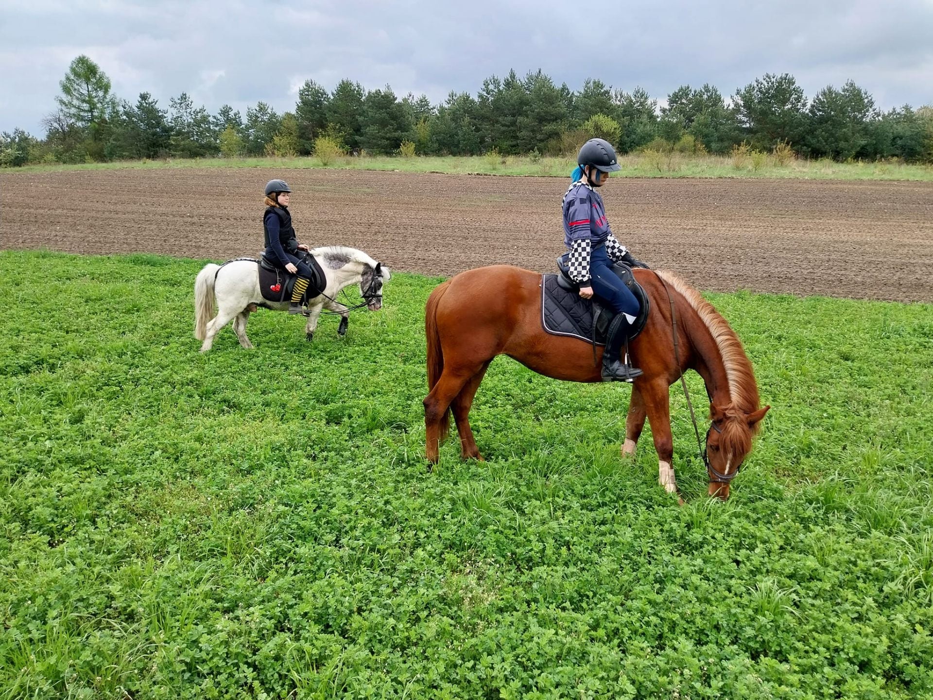 obóz Obóz konny lato 2026 w Myszków