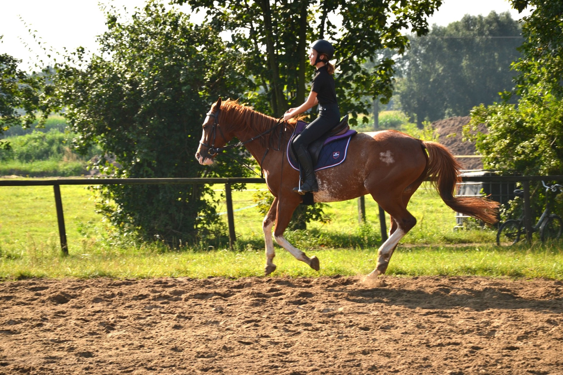 obóz Obóz Jeździecki 2026 - Przygoda w Siodle w Rancho pod Olszyną w Nowy Ciechocinek