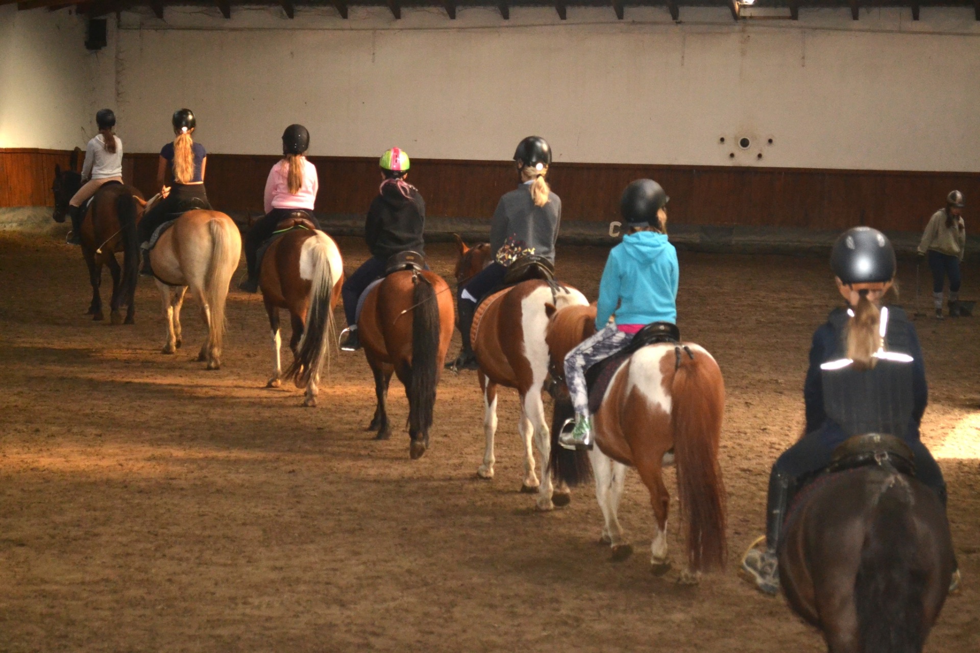 obóz Obóz Jeździecki 2026 - Przygoda w Siodle w Rancho pod Olszyną w Nowy Ciechocinek