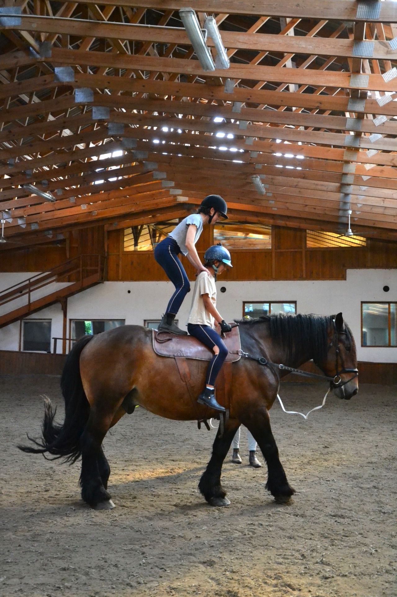 obóz Obóz Jeździecki 2026 - Przygoda w Siodle w Rancho pod Olszyną w Nowy Ciechocinek