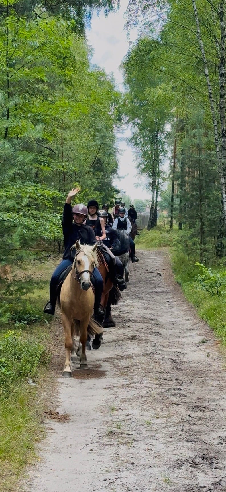obóz Obóz konny w stajni Cicho-sza mini zoo w Niedźwiedź