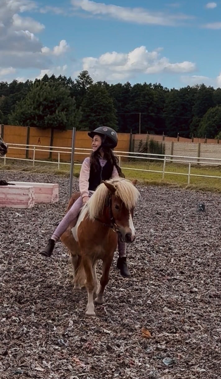 obóz Obóz konny w stajni Cicho-sza mini zoo w Niedźwiedź