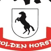 Stajnia Golden Horse — organizator obozów