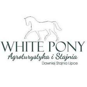 Stajnia White Pony  — organizator obozów