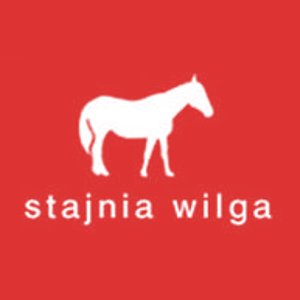 Stajnia Wilga — organizator obozów